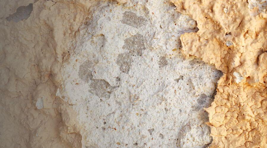 Why choose water damage restoration service for commercial flood cleanup in Pontiac